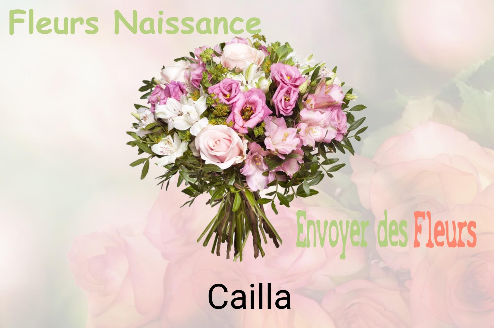 Bouquet de fleurs de naissance livré à Cailla