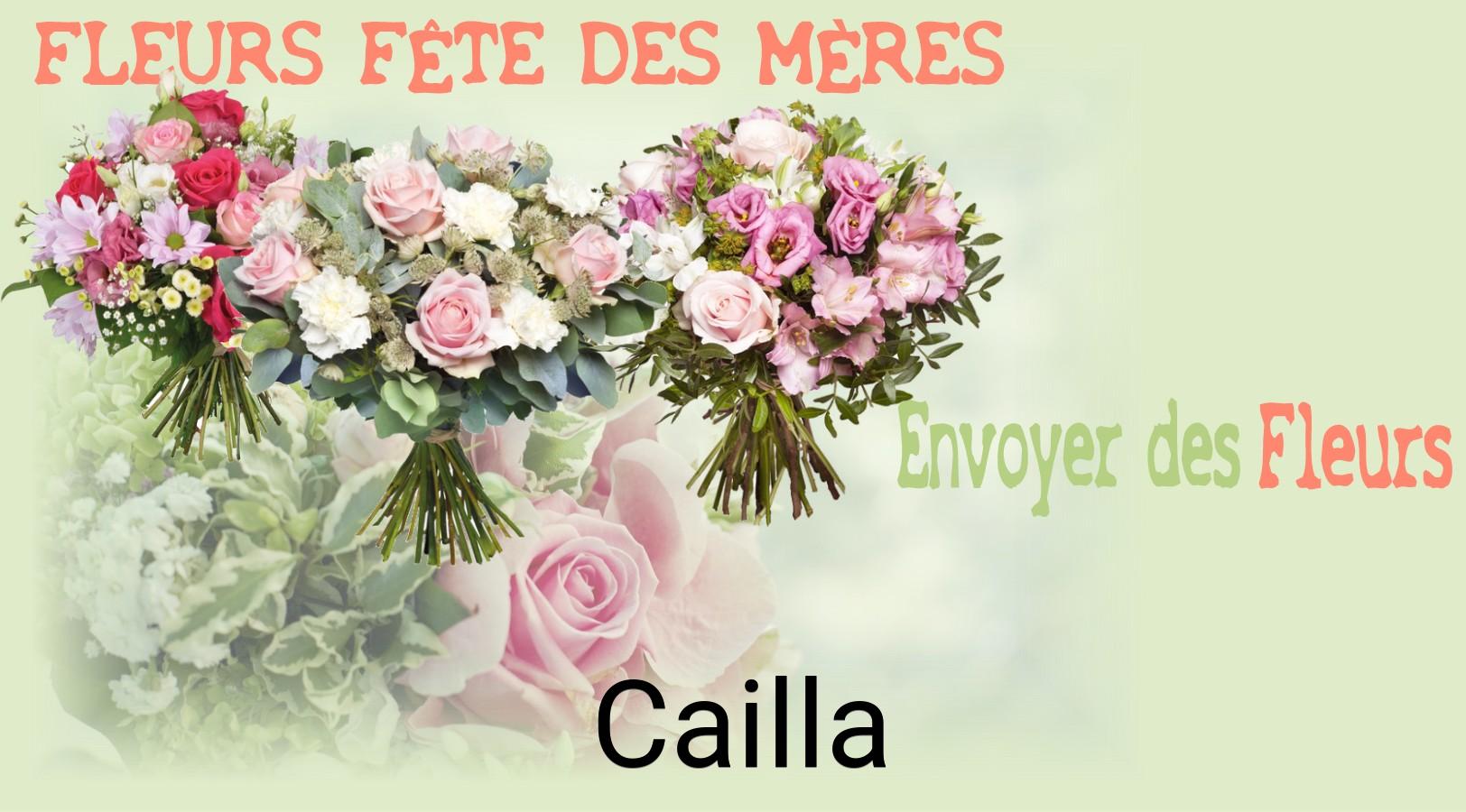 Bouquet de Fête des Mères livré à Cailla